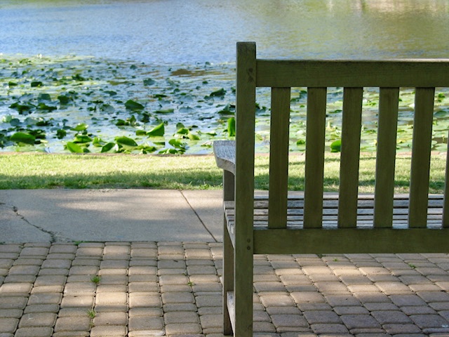 Bench by the Pond
